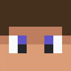 bloxd io